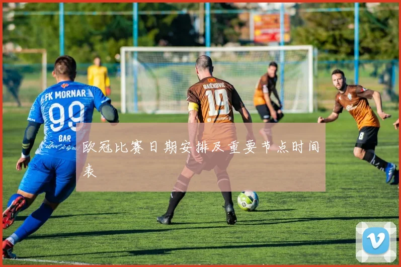 欧冠比赛日期安排及重要节点时间表