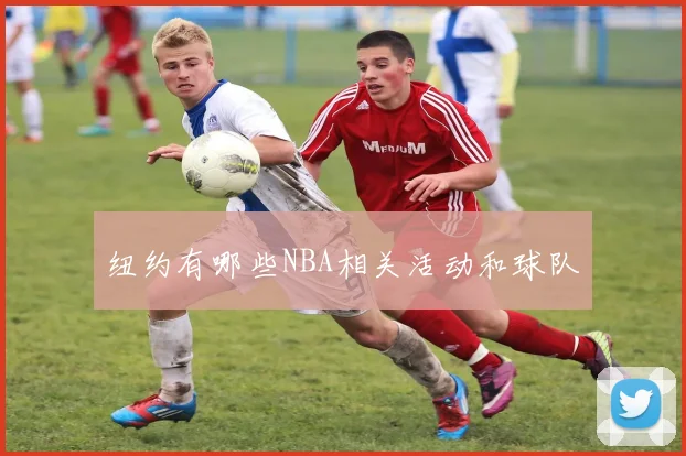 纽约有哪些NBA相关活动和球队