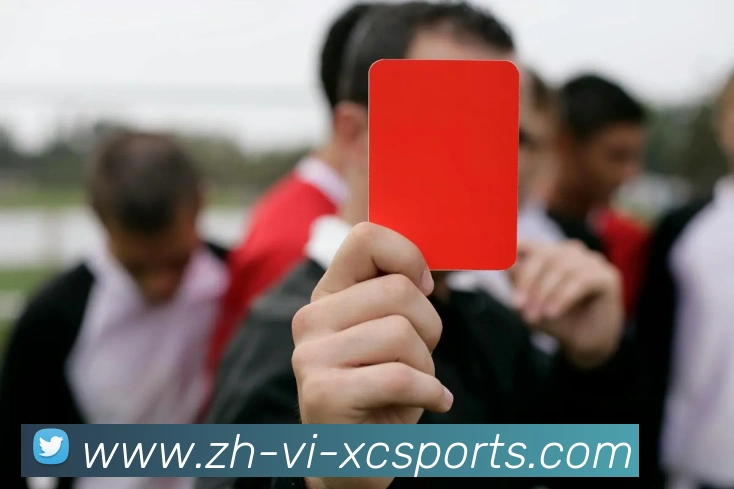 杏彩体育APP 体育赛事宣传图